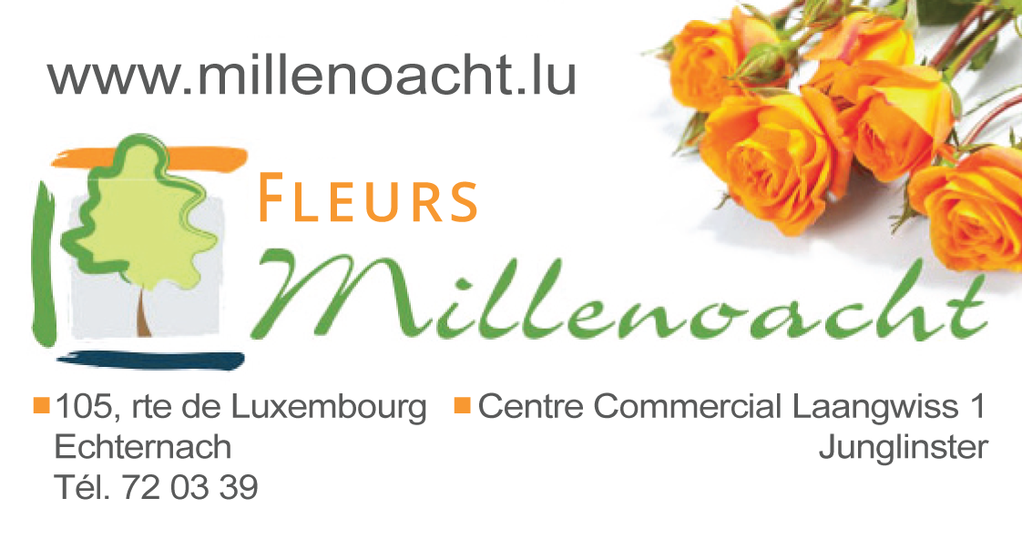 Fleurs Millenoacht